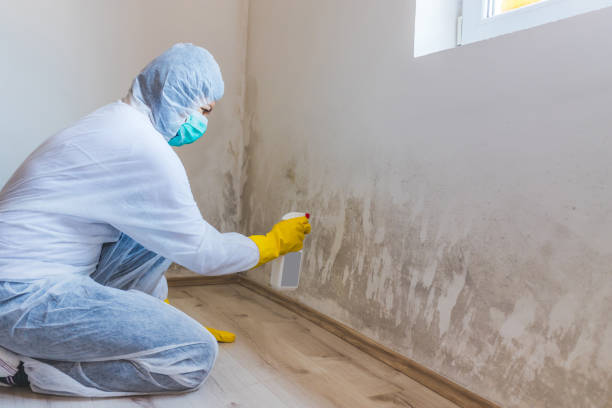Licensed Mold Removal service in Princeton, NJ - 24 Hour Mold Removal