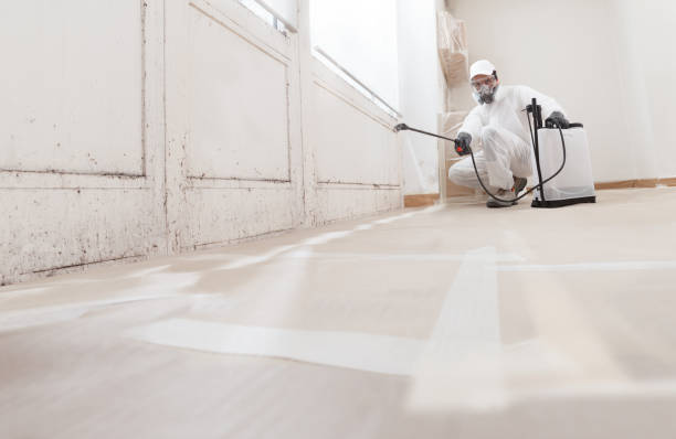 24/7 Emergency Mold Removal experts in Princeton, NJ