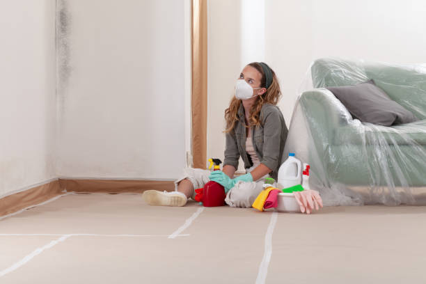 Reliable Mold Removal contractor in Princeton, NJ by 24 Hour Mold Removal